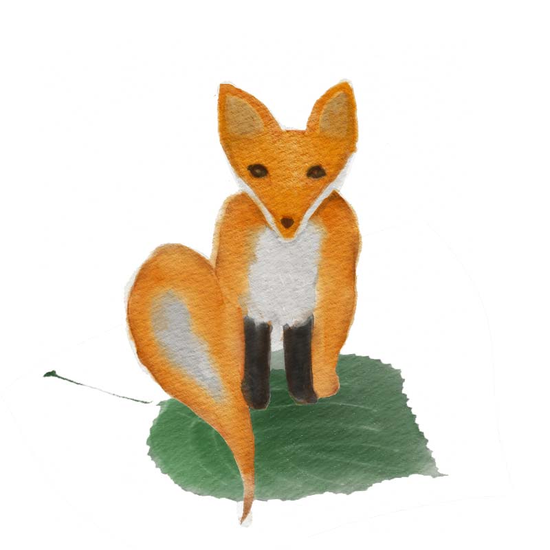 fox-on-leaf